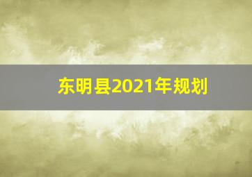 东明县2021年规划