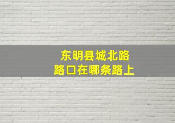 东明县城北路路口在哪条路上