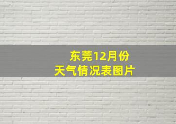 东莞12月份天气情况表图片