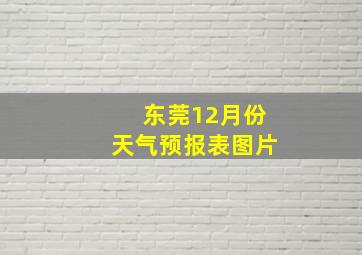 东莞12月份天气预报表图片