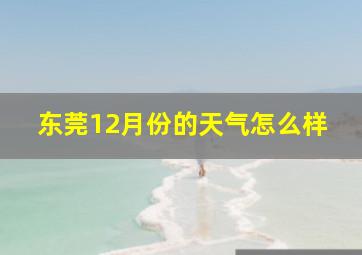 东莞12月份的天气怎么样