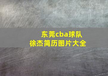 东莞cba球队徐杰简历图片大全