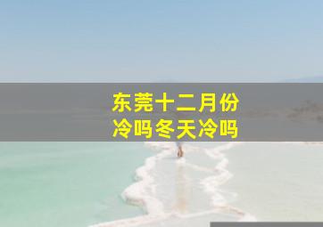 东莞十二月份冷吗冬天冷吗