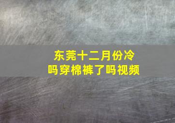 东莞十二月份冷吗穿棉裤了吗视频