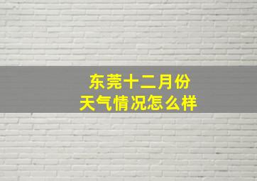 东莞十二月份天气情况怎么样