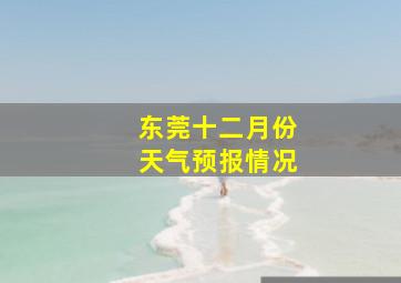 东莞十二月份天气预报情况