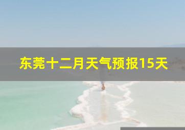 东莞十二月天气预报15天