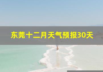 东莞十二月天气预报30天