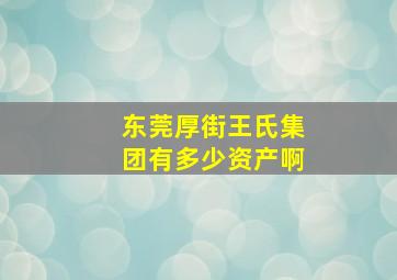 东莞厚街王氏集团有多少资产啊