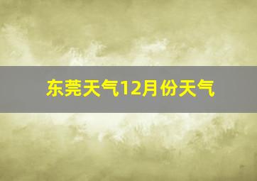 东莞天气12月份天气