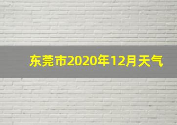 东莞市2020年12月天气