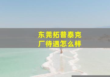 东莞拓普泰克厂待遇怎么样