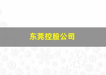 东莞控股公司