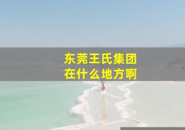 东莞王氏集团在什么地方啊