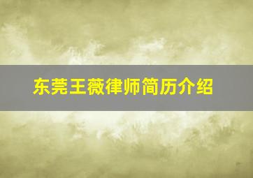 东莞王薇律师简历介绍