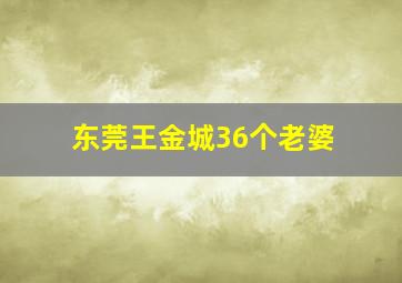 东莞王金城36个老婆