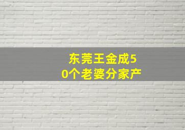 东莞王金成50个老婆分家产