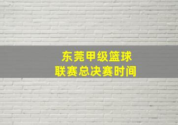 东莞甲级篮球联赛总决赛时间