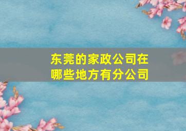 东莞的家政公司在哪些地方有分公司