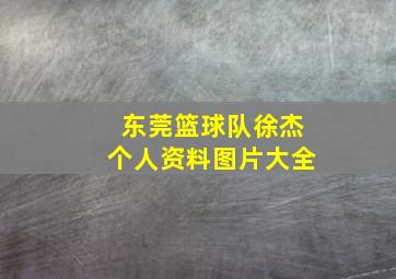 东莞篮球队徐杰个人资料图片大全