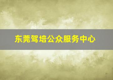 东莞驾培公众服务中心