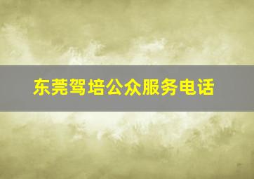 东莞驾培公众服务电话