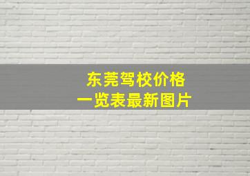 东莞驾校价格一览表最新图片