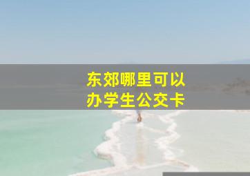 东郊哪里可以办学生公交卡