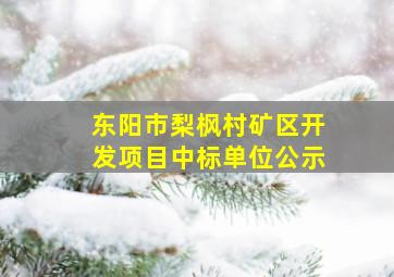 东阳市梨枫村矿区开发项目中标单位公示