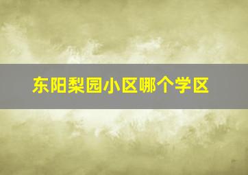 东阳梨园小区哪个学区