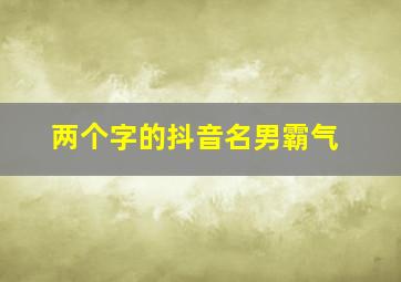 两个字的抖音名男霸气