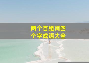 两个百组词四个字成语大全