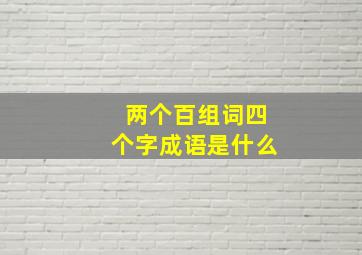 两个百组词四个字成语是什么