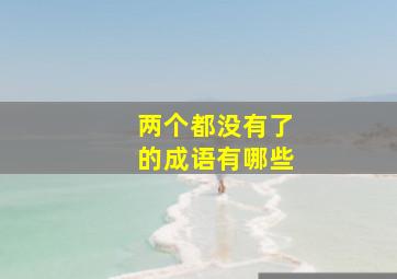 两个都没有了的成语有哪些