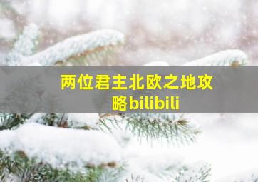 两位君主北欧之地攻略bilibili