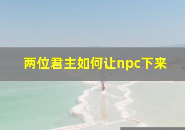 两位君主如何让npc下来