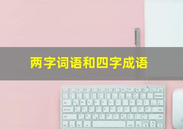 两字词语和四字成语