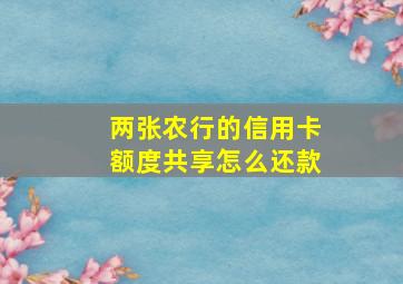 两张农行的信用卡额度共享怎么还款