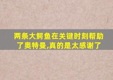 两条大鳄鱼在关键时刻帮助了奥特曼,真的是太感谢了