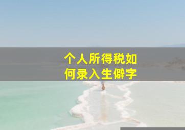 个人所得税如何录入生僻字