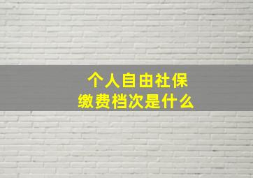 个人自由社保缴费档次是什么