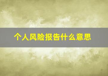 个人风险报告什么意思