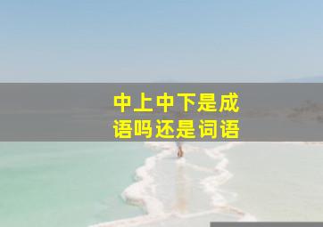 中上中下是成语吗还是词语