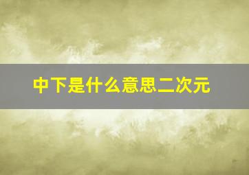 中下是什么意思二次元