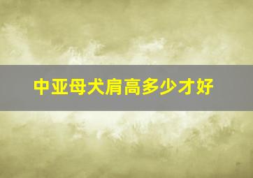 中亚母犬肩高多少才好