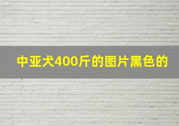 中亚犬400斤的图片黑色的