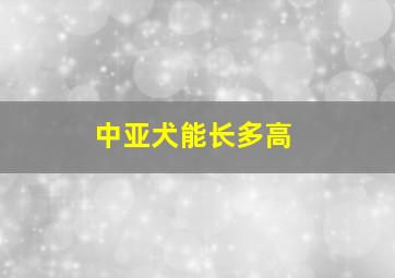 中亚犬能长多高