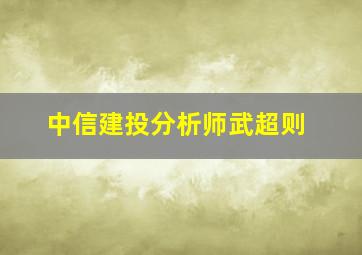 中信建投分析师武超则