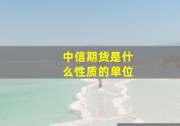 中信期货是什么性质的单位