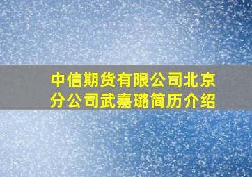 中信期货有限公司北京分公司武嘉璐简历介绍